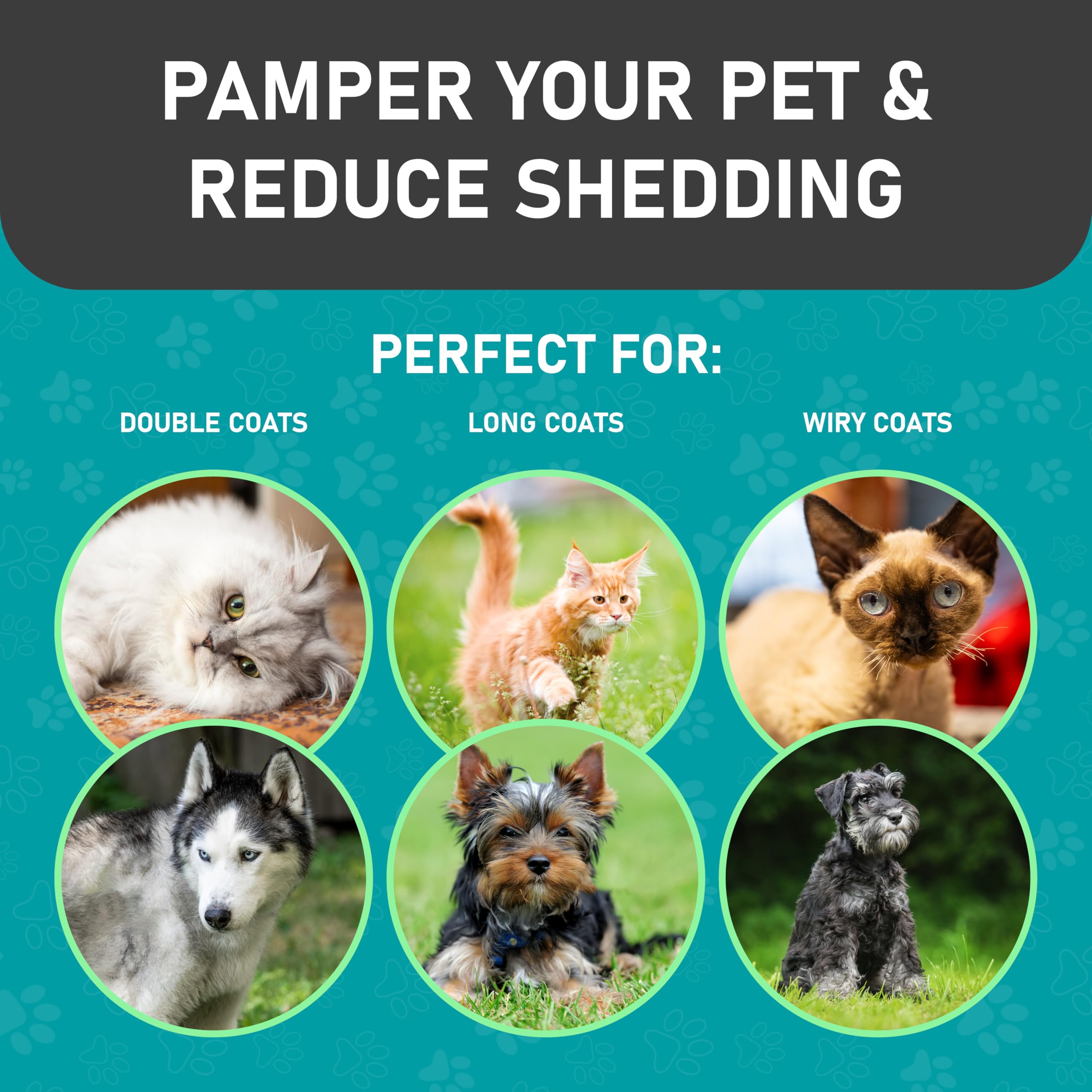 Maxpower Planet thick coat mats removal highlights efficient detangling.