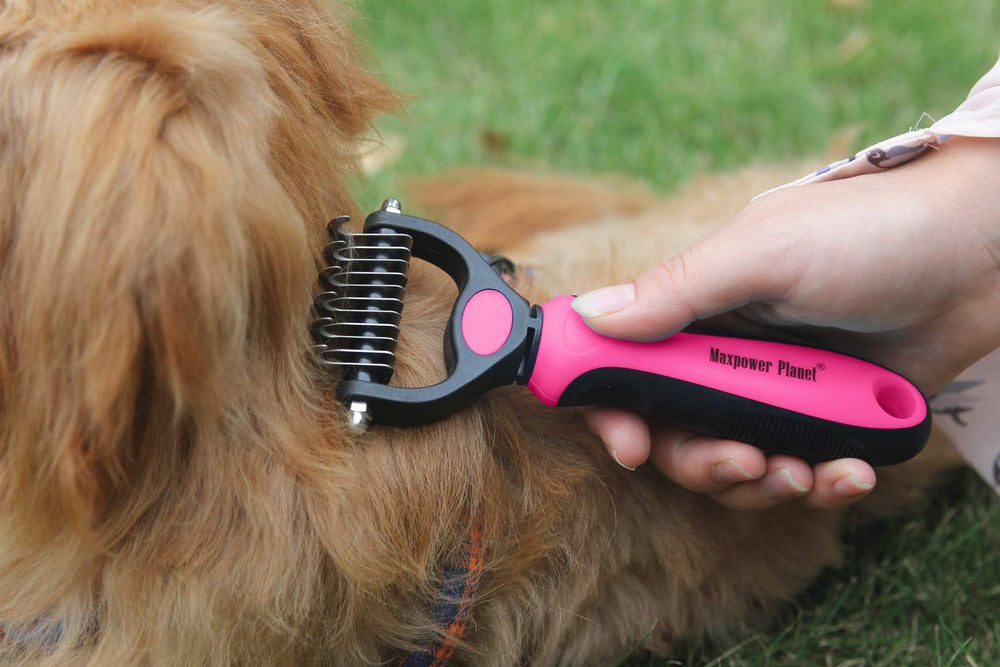 Maxpower Planet undercoat rake deshedding tool reduces loose fur.