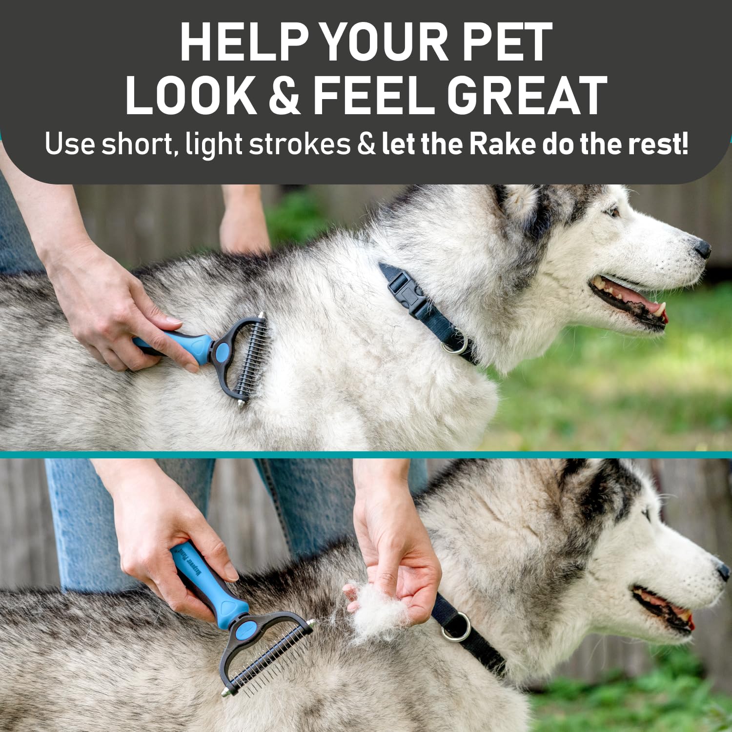 Maxpower Planet undercoat rake demonstrates efficient fur removal and a smoother coat.