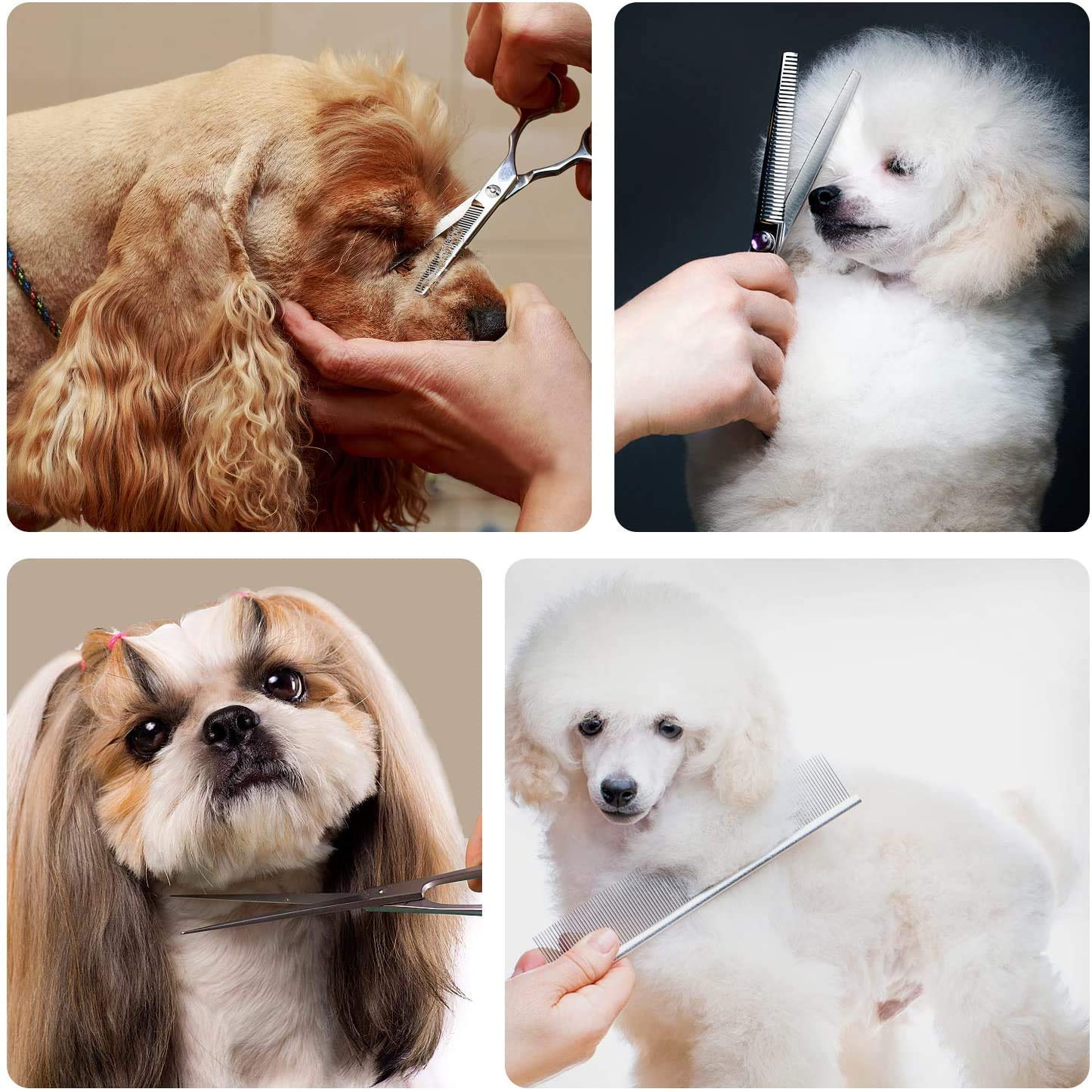 Maxshop three-piece grooming set for comprehensive home pet care.