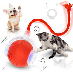 MAXTOOA Interactive Cat Toy Ball Rolling engages curious indoor cats and stimulates hunting instincts during play