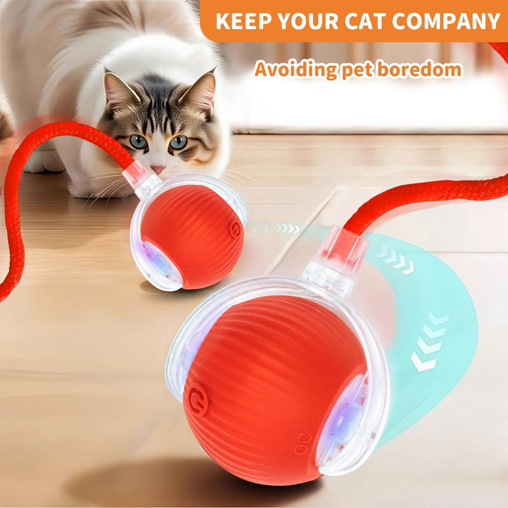 MAXTOOA Pet Entertainment Rolling Ball promotes activity and mental stimulation for small-to-medium cats and dogs