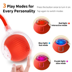 MAXTOOA Safe Durable Material cat toy made with eco-friendly, wear-resistant construction for long-term use