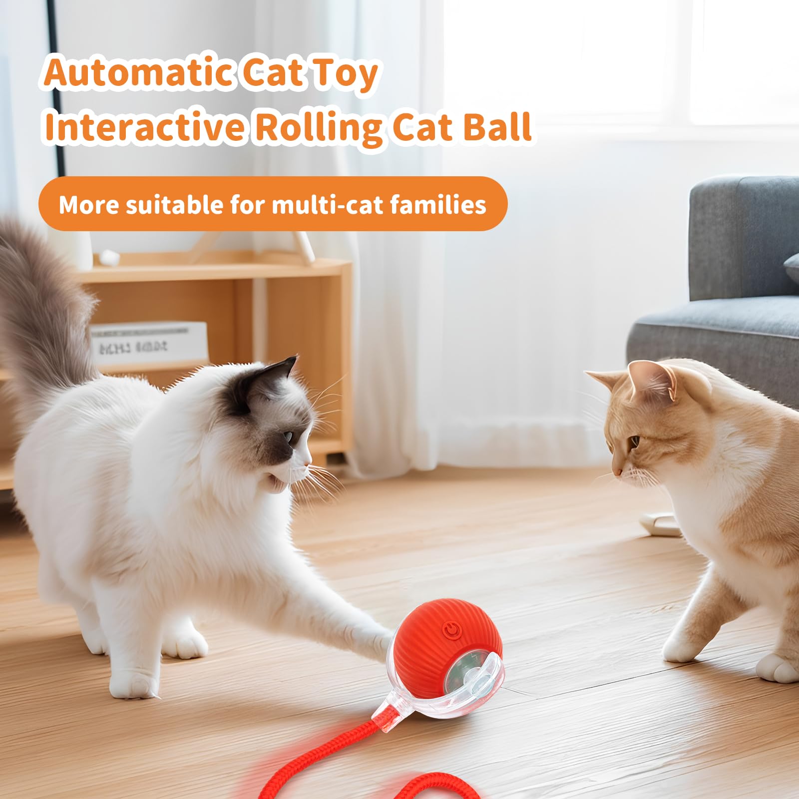 MAXTOOA Small to Medium Dog Cat Toy designed for active small-to-medium pets; safe for play