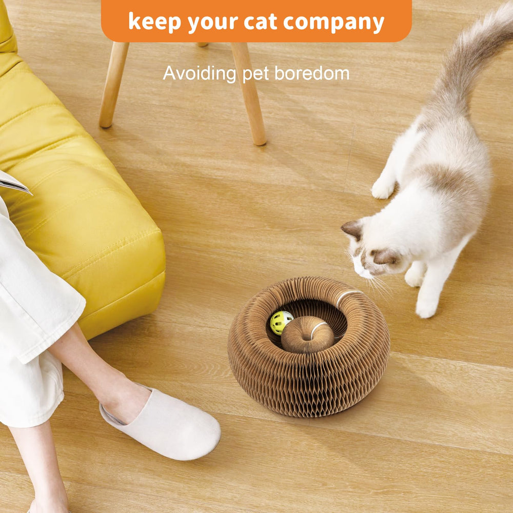 MAXTOOA smooth edges prevent tangling, keeping paws safe during exploration.