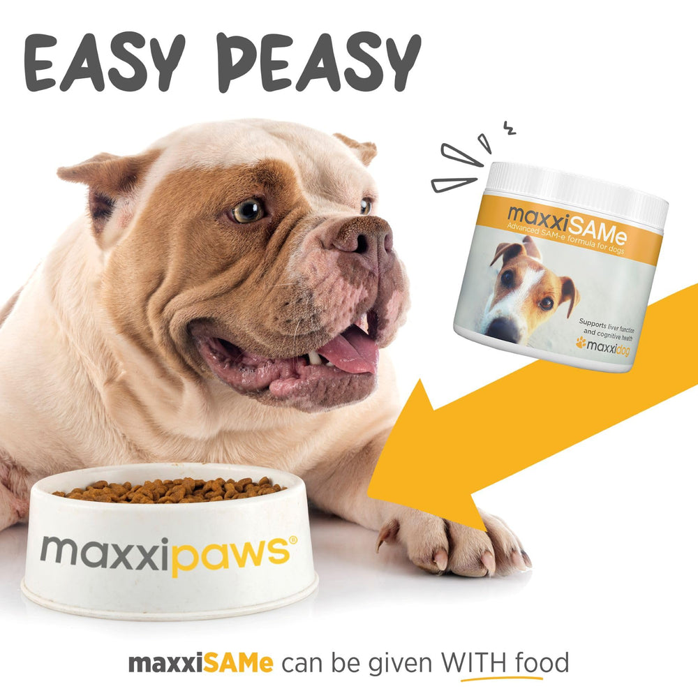 maxxipaws maxxiSAMe packaging with B vitamins for liver metabolism support.