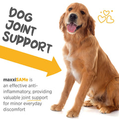 maxxipaws maxxiSAMe powder with artichoke bottle emphasizing natural liver-support ingredients.