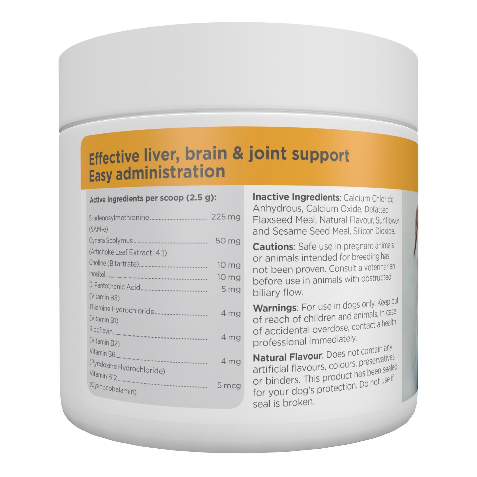 maxxipaws maxxiSAMe liver health illustration conveying overall pet wellness.