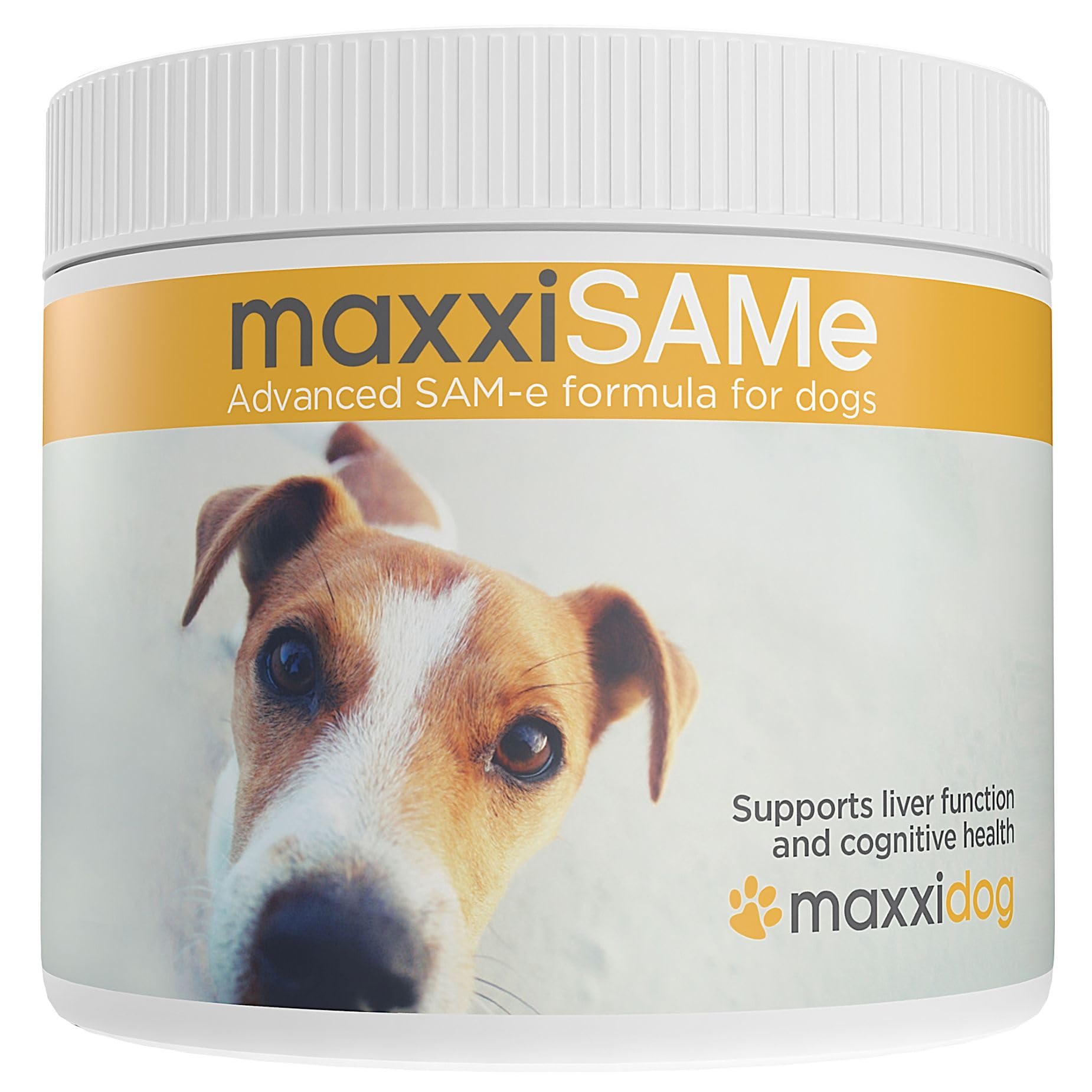 maxxipaws maxxiSAMe powder in a dog food bowl for easy daily dosing and potential liver support.