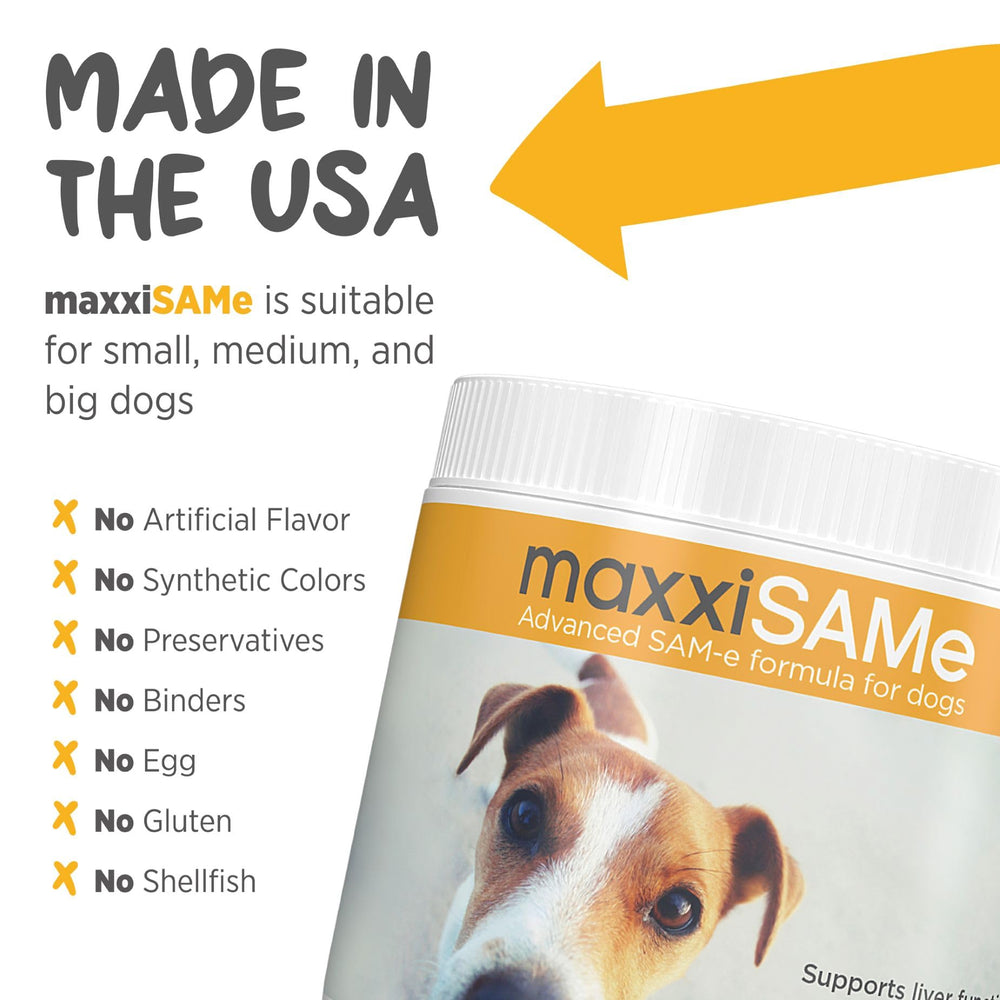 maxxipaws maxxiSAMe senior dog image illustrating cognitive and joint support potential.