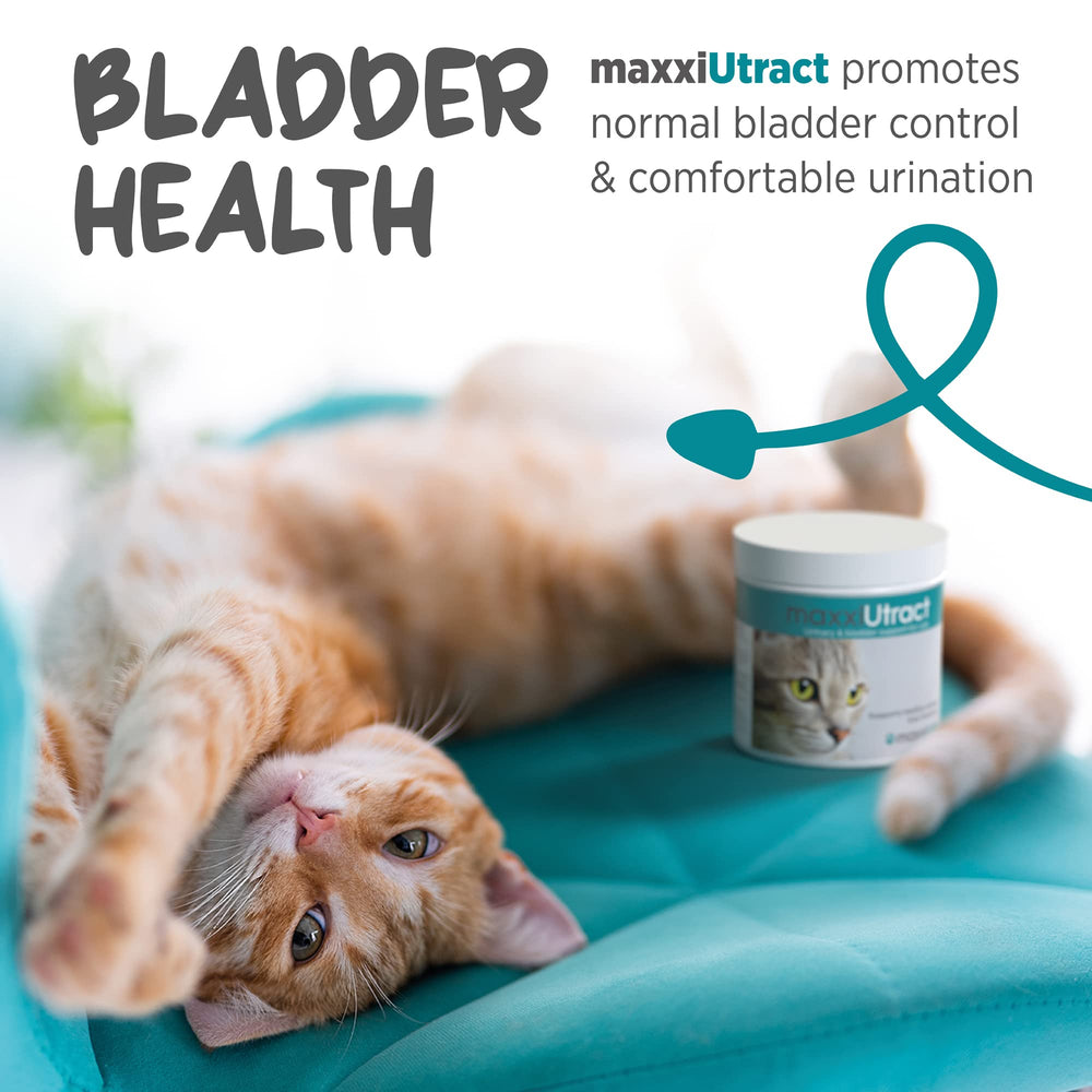 MaxxiPaws maxxiUtract d-mannose-ingredient highlighted as part of urinary tract care.