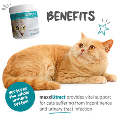 MaxxiPaws maxxiUtract powder-dispense demonstrates convenient mixing with cat meals.