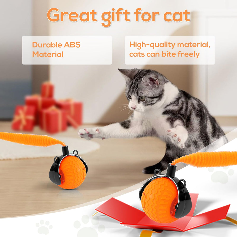 Maycserena cat toy for kittens hunting fun and enrichment