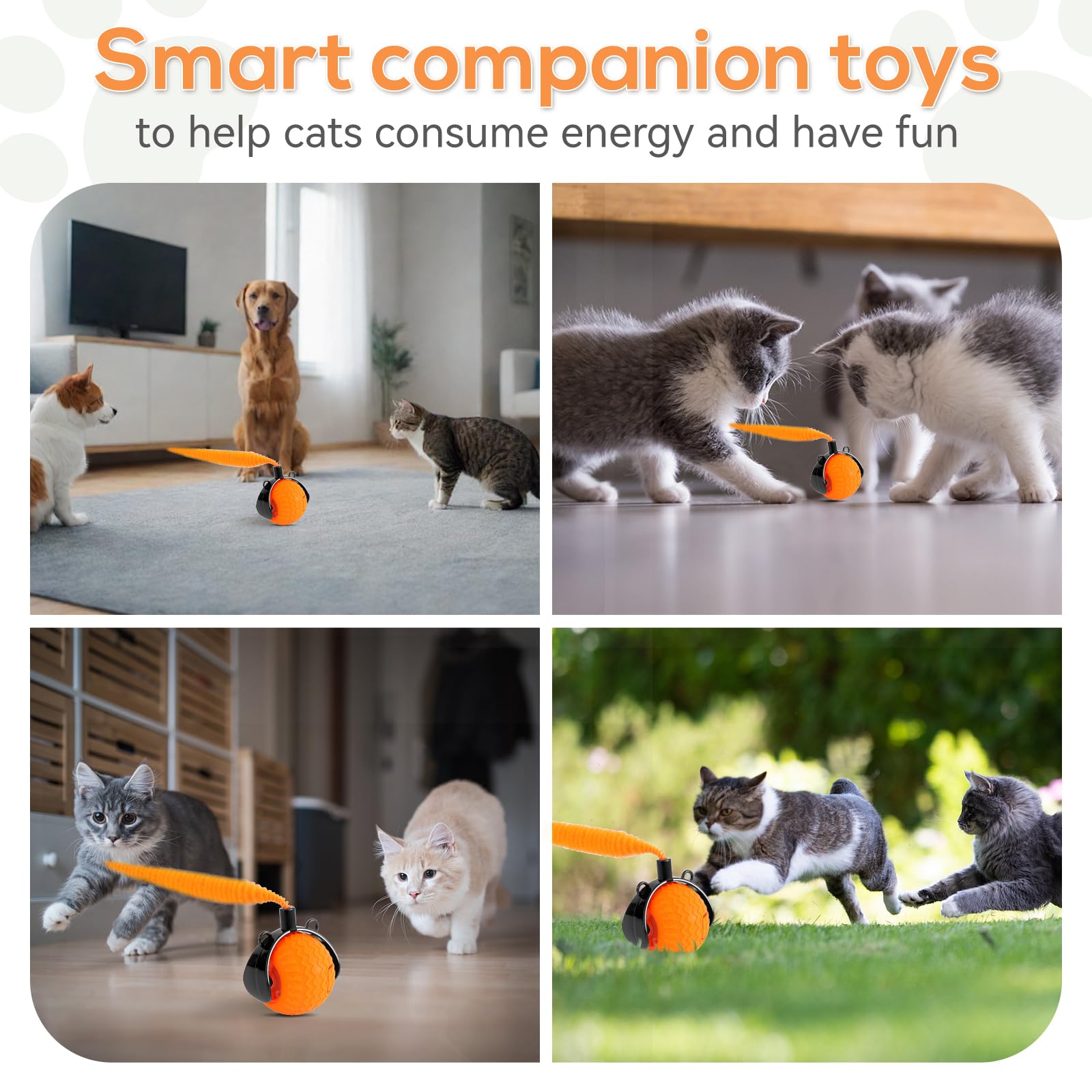 Maycserena indoor-play cat toy for engaging cats at home