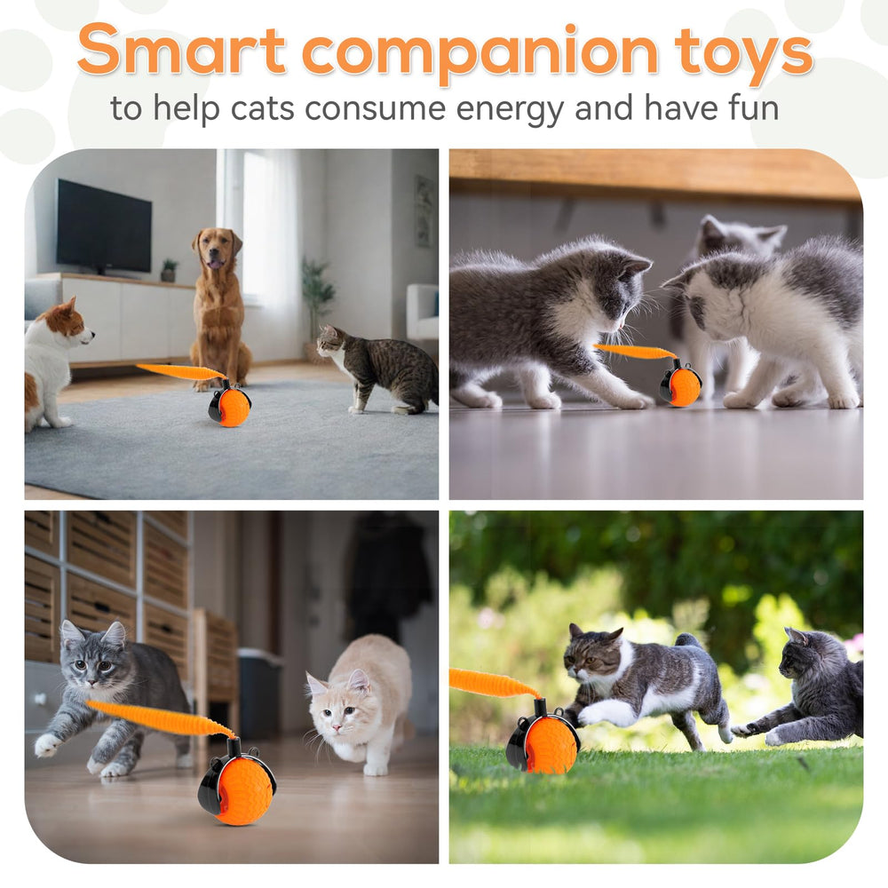 Maycserena indoor-play cat toy for engaging cats at home