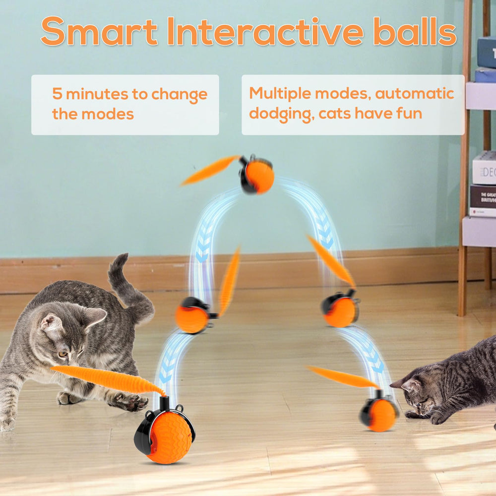 Maycserena USB recharge cat toy with convenient power option