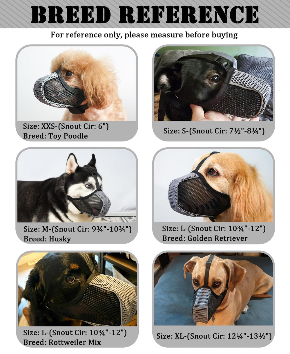 Mayerzon anti-scavenging muzzle on dog during outdoor walking