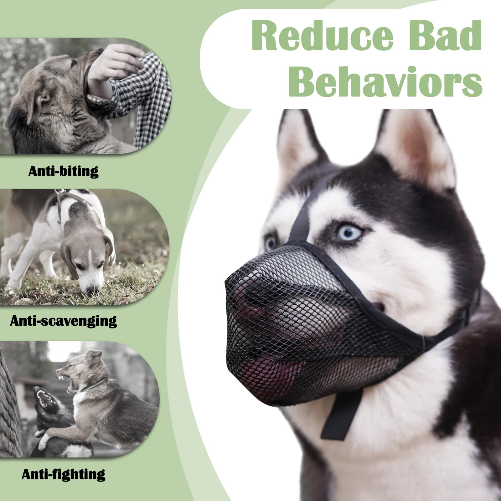 Mayerzon muzzle helps reduce biting and scavenging during outings and grooming.