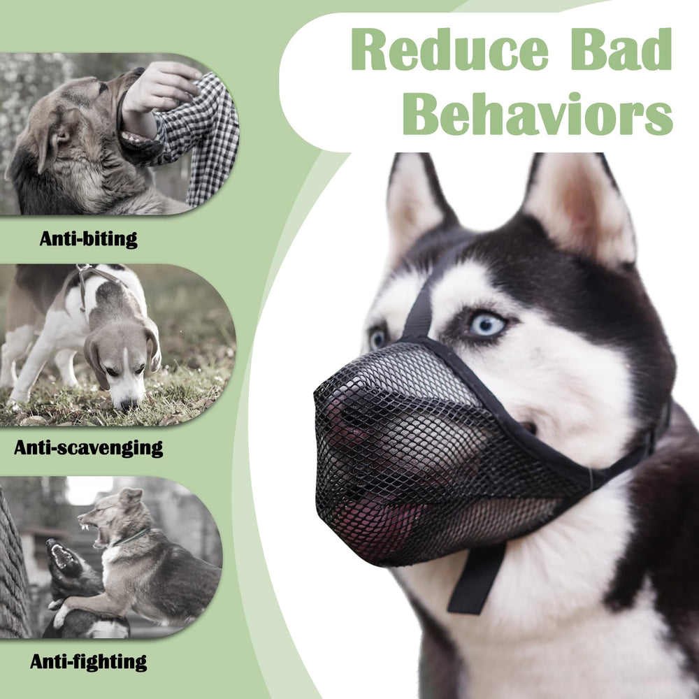 Mayerzon muzzle helps reduce biting and scavenging during outings and grooming.