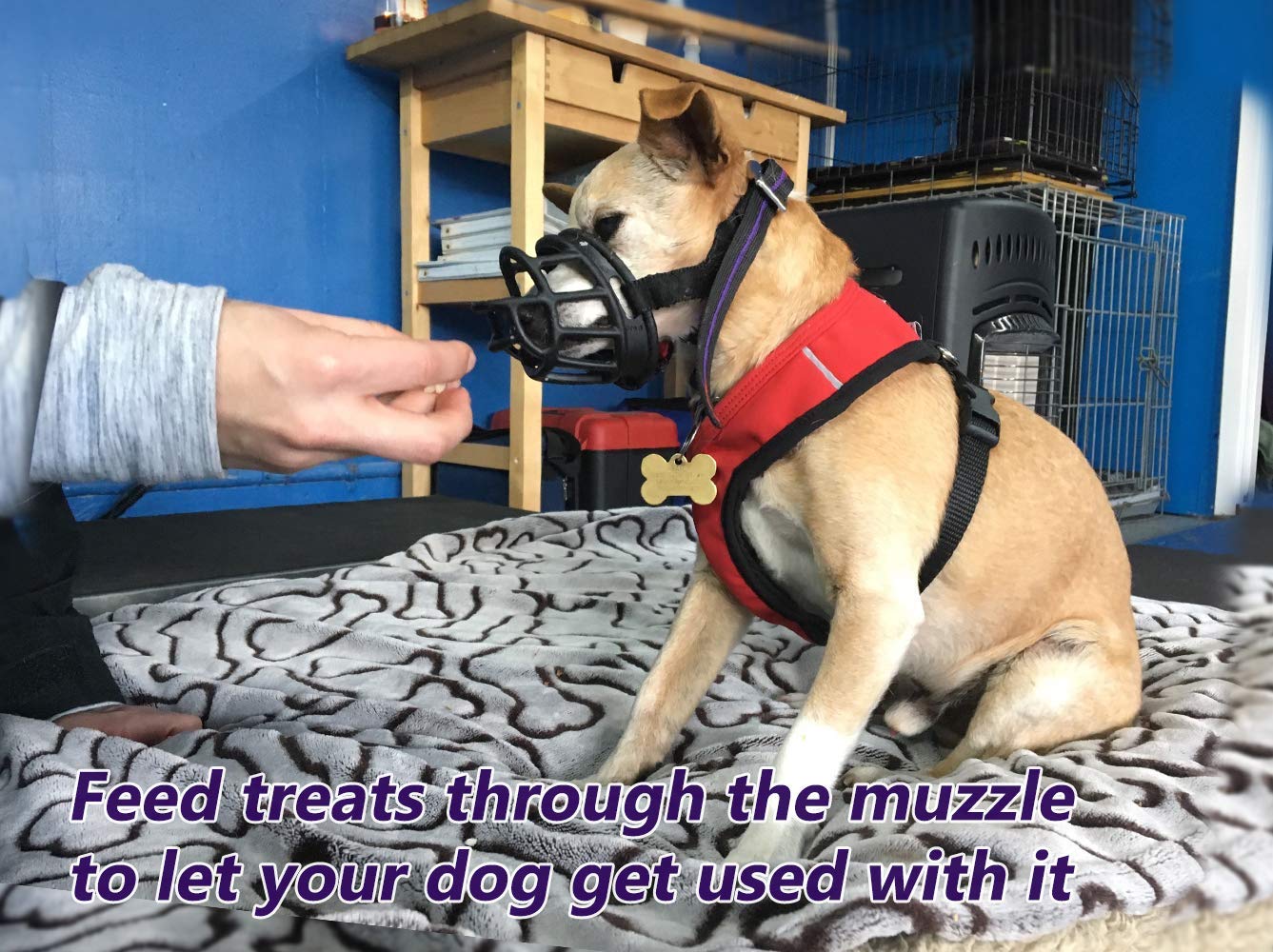 Mayerzon dog muzzle black-color offers discreet, everyday styling.