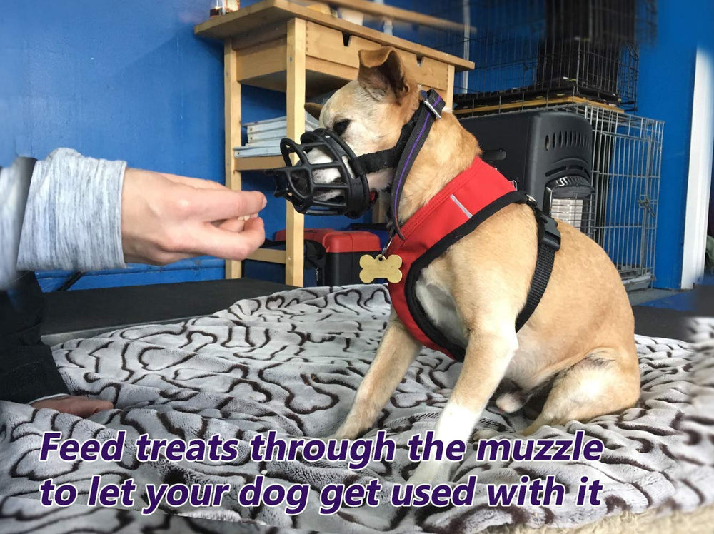 Mayerzon dog muzzle black-color offers discreet, everyday styling.