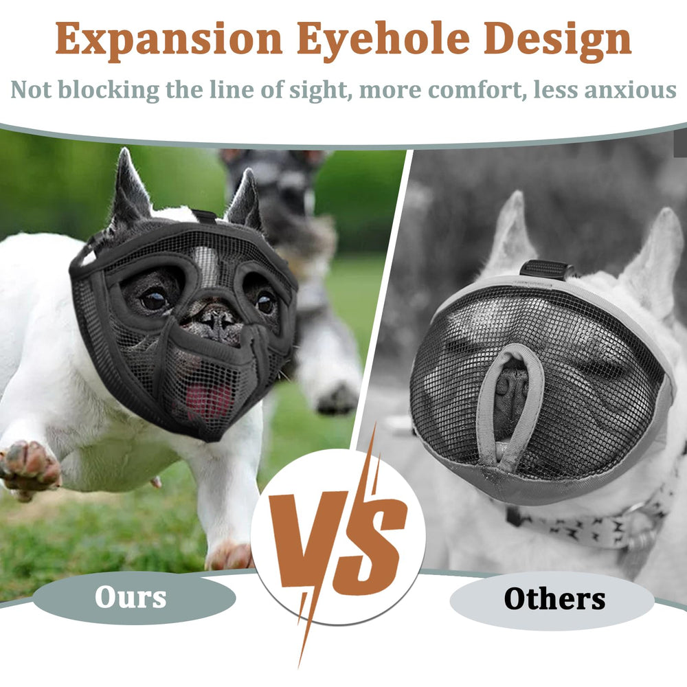 Mayerzon humane muzzle demonstrates drinking feature during walks or vet visits