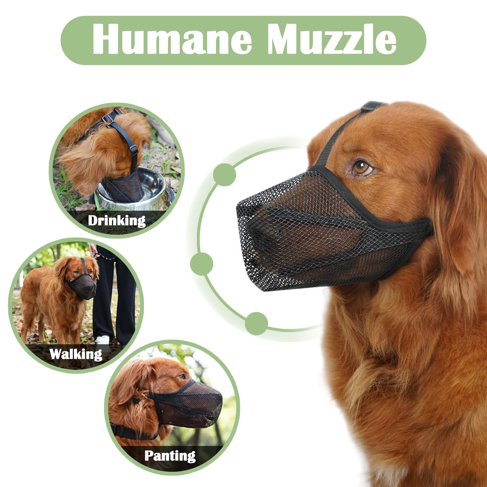 Mayerzon humane muzzle lets your dog drink water during activities.