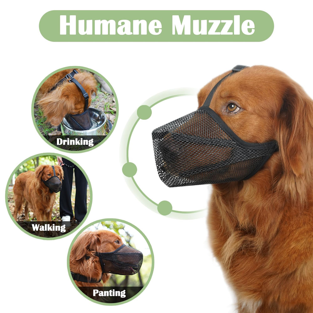Mayerzon humane muzzle lets your dog drink water during activities.