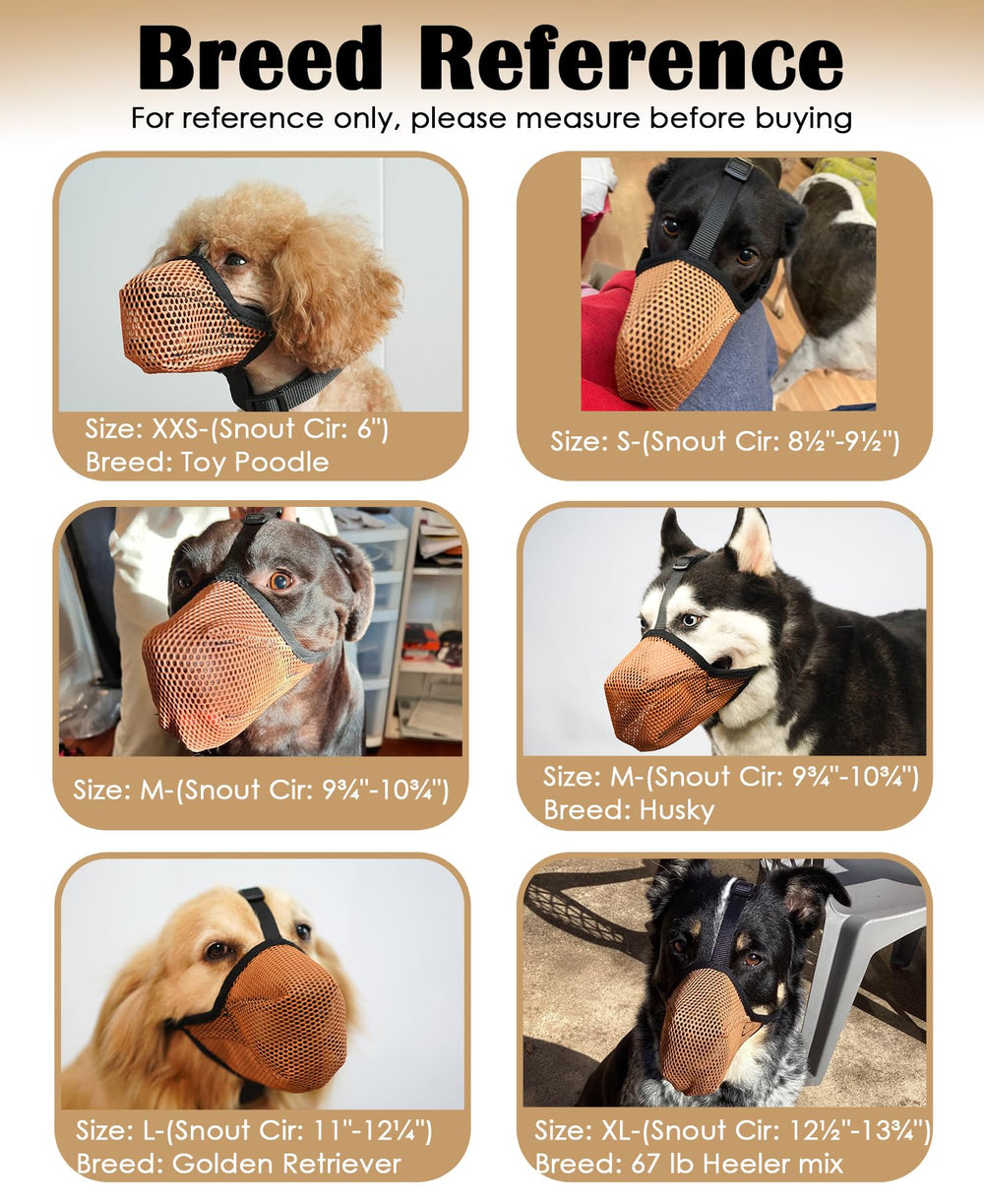Mayerzon dog muzzle with matching collar adds security during outdoor adventures.