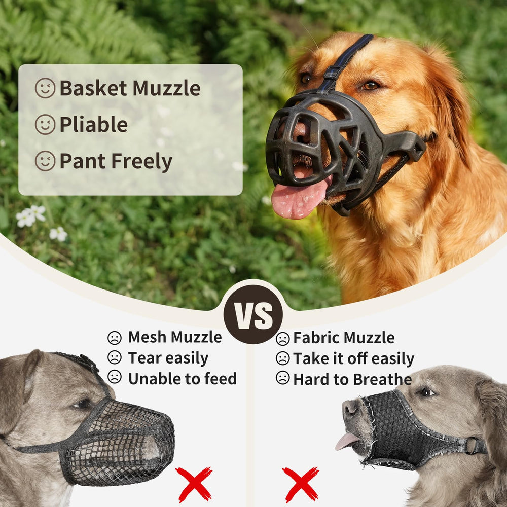 Mayerzon packaging and instructions image provides clear setup guidance.