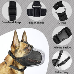 Mayerzon muzzle with reflective straps improves visibility during dusk strolls