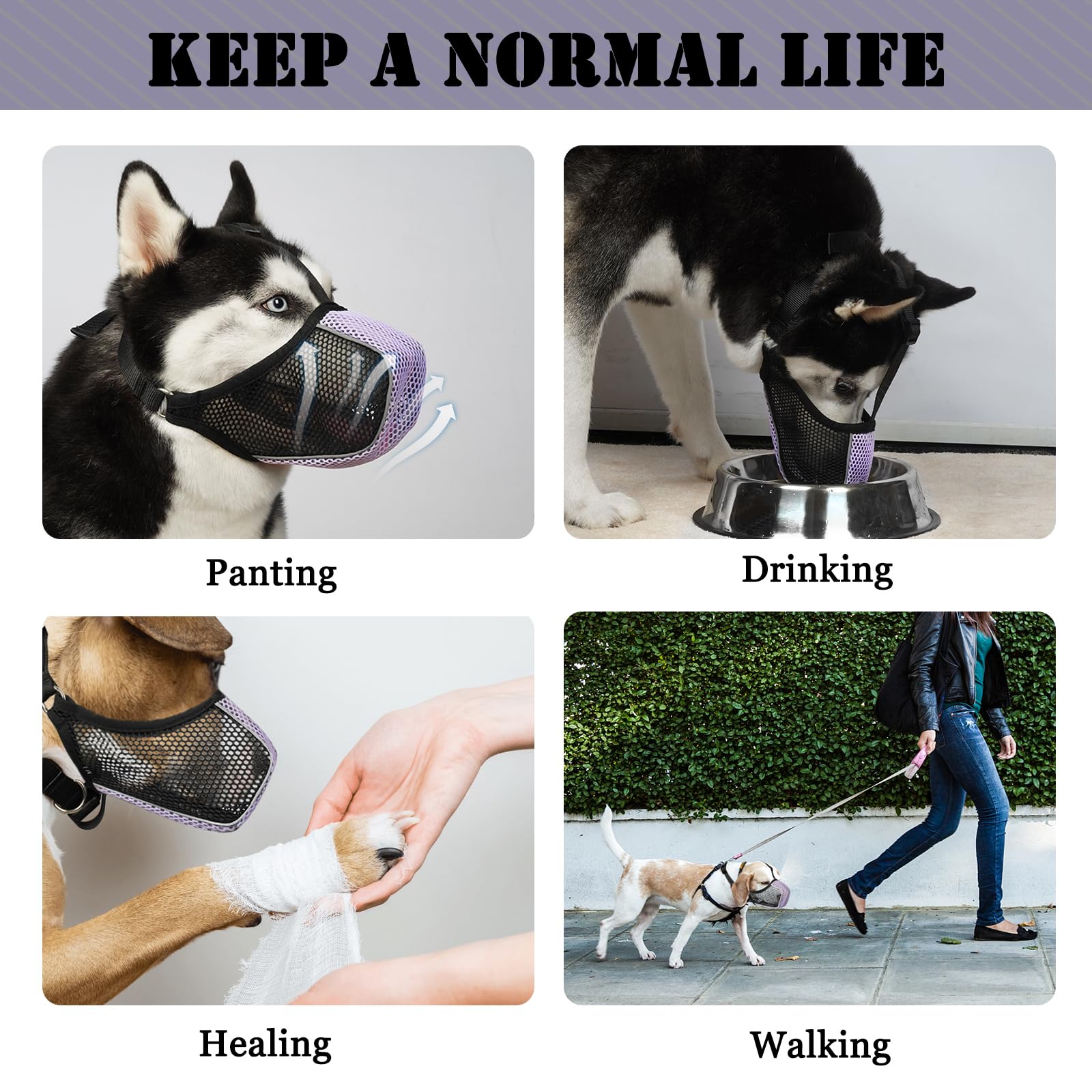 Mayerzon dog muzzle training soft design supports gentle muzzle training sessions.