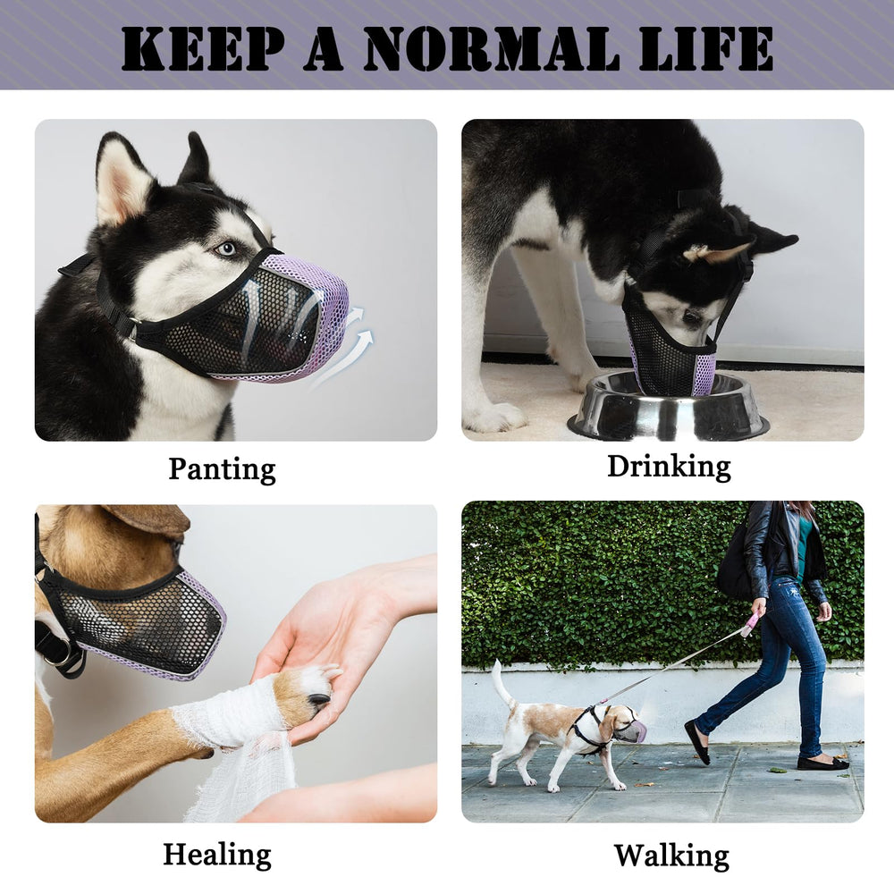 Mayerzon dog muzzle training soft design supports gentle muzzle training sessions.