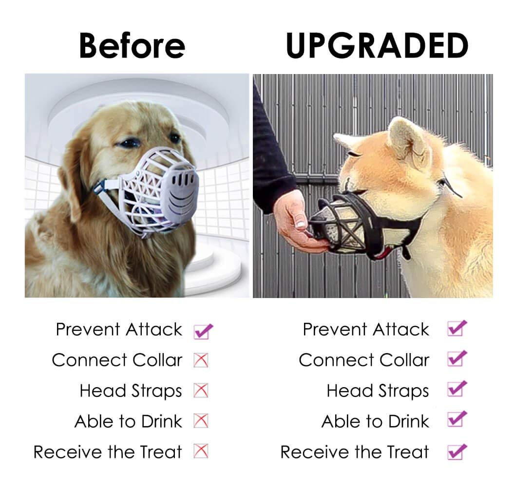 Mayerzon dog muzzle training-video preview illustrates muzzle acclimation steps.