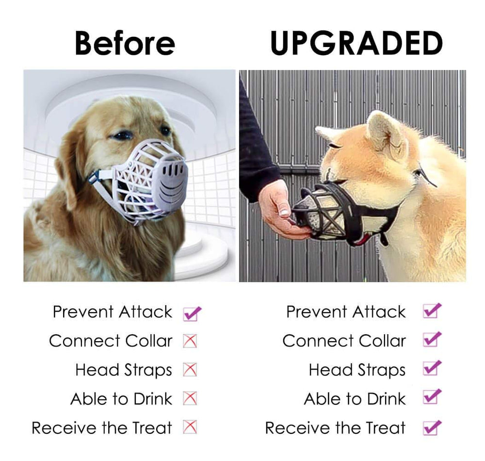 Mayerzon dog muzzle training-video preview illustrates muzzle acclimation steps.