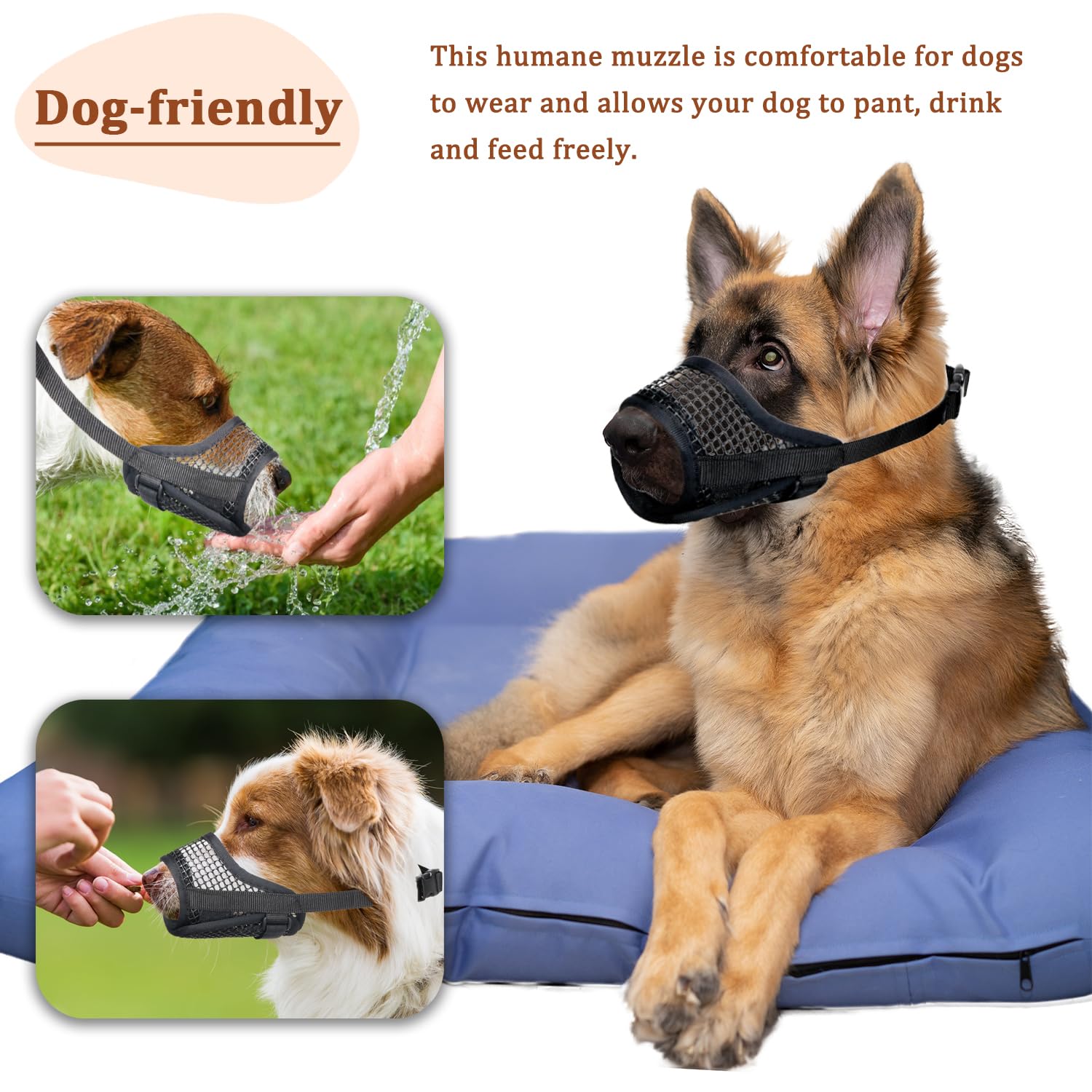 Mayerzon dog muzzle with quick-release buckle simplifies on/off during vet visits