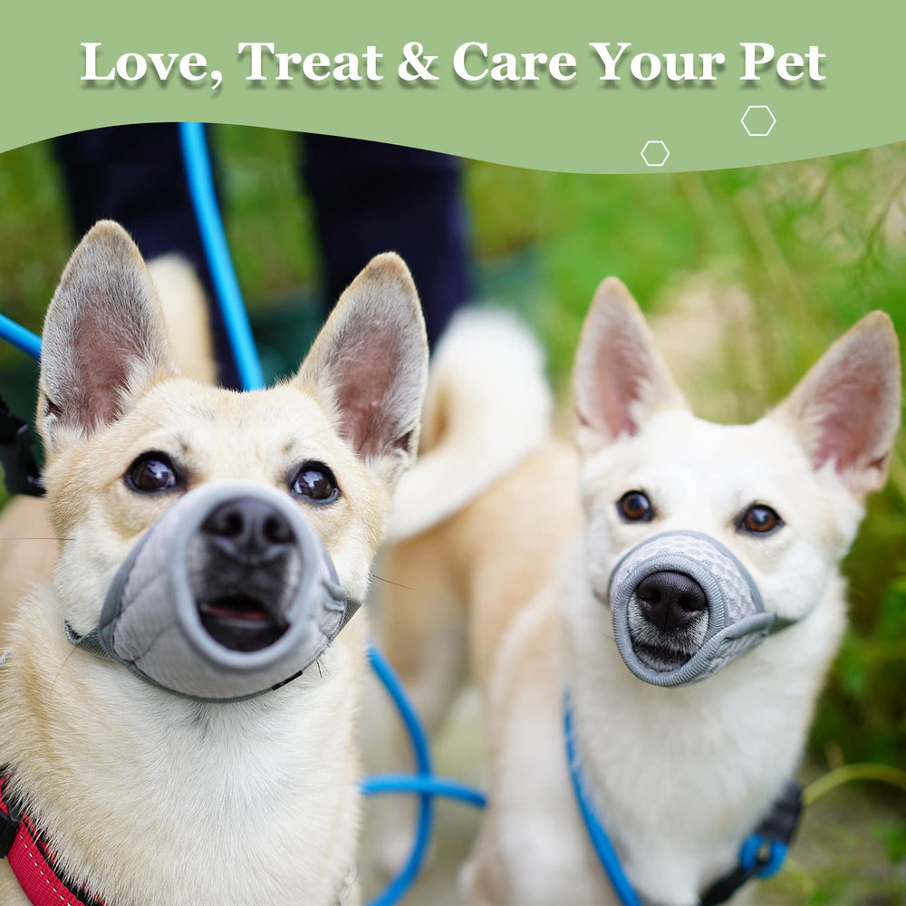 Mayerzon dog muzzle grey designed for walking and training sessions.