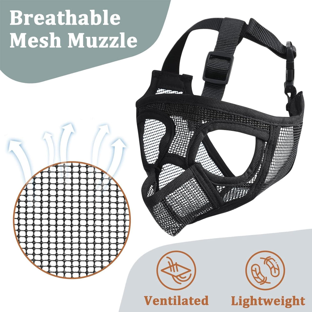 Mayerzon five-size range fits pugs, bulldogs, and Shih Tzu.