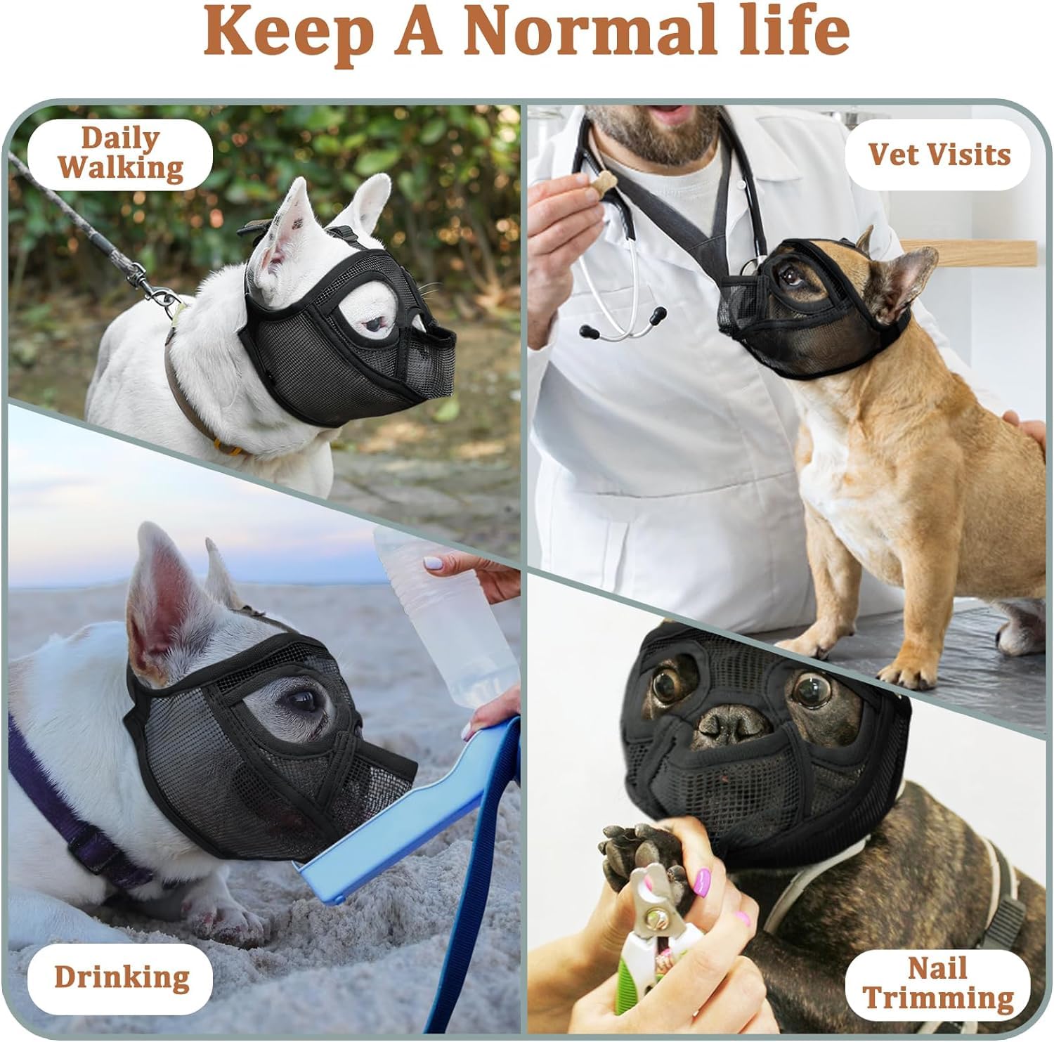Mayerzon grooming and walking muzzle supports safe, stress-free outings.