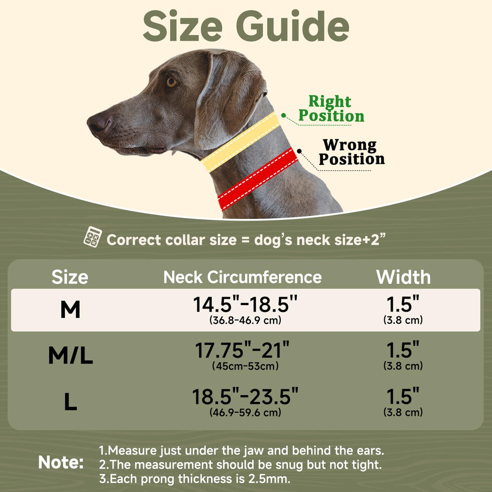 Mayerzon heavy duty D-ring collar supports durable daily training for active dogs