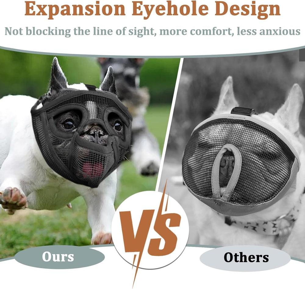 Mayerzon humane muzzle allows drinking and treats during outings.
