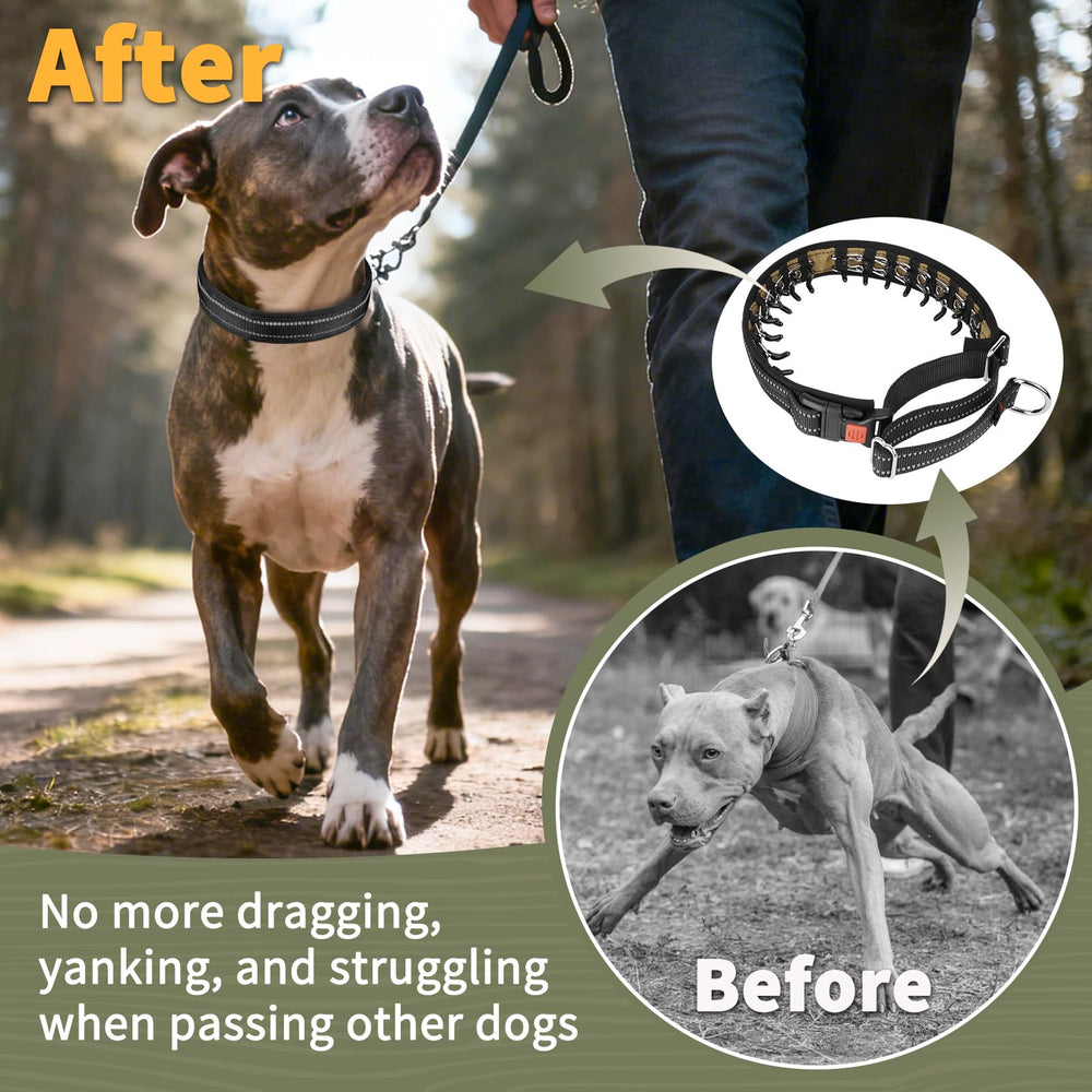 Mayerzon khaki army-green collar for medium-large dog during evening walk.