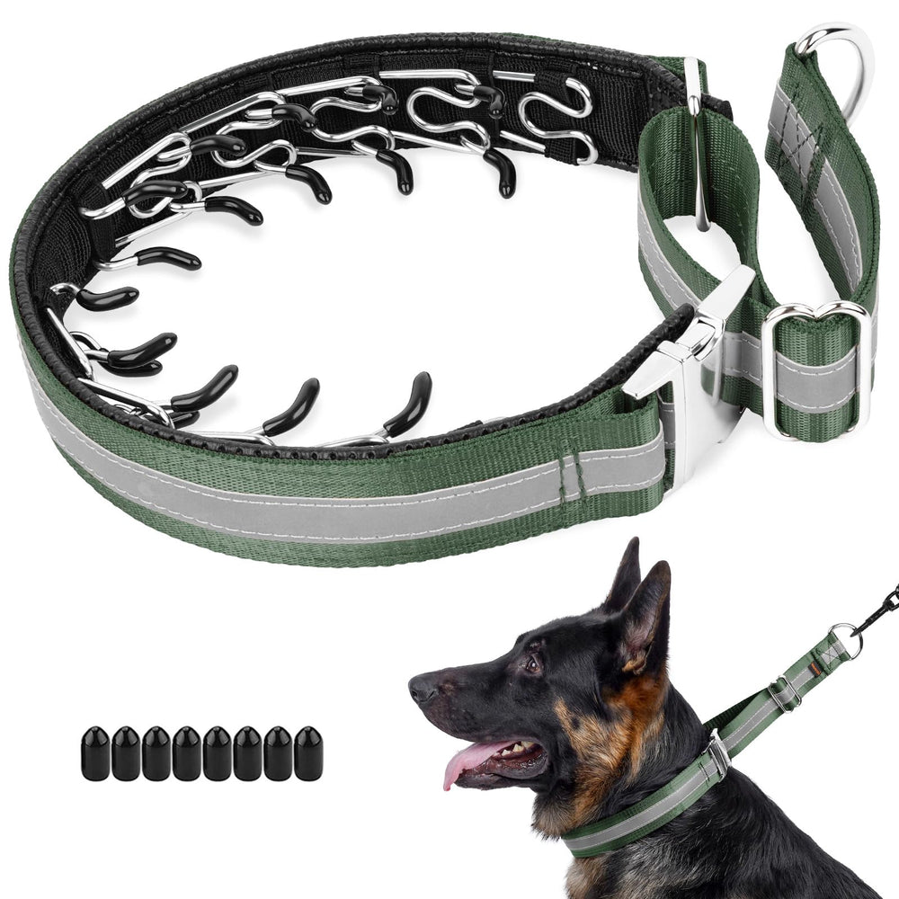Mayerzon Martingale no pull collar buckle closeup showcasing durable alloy buckle for confident control.
