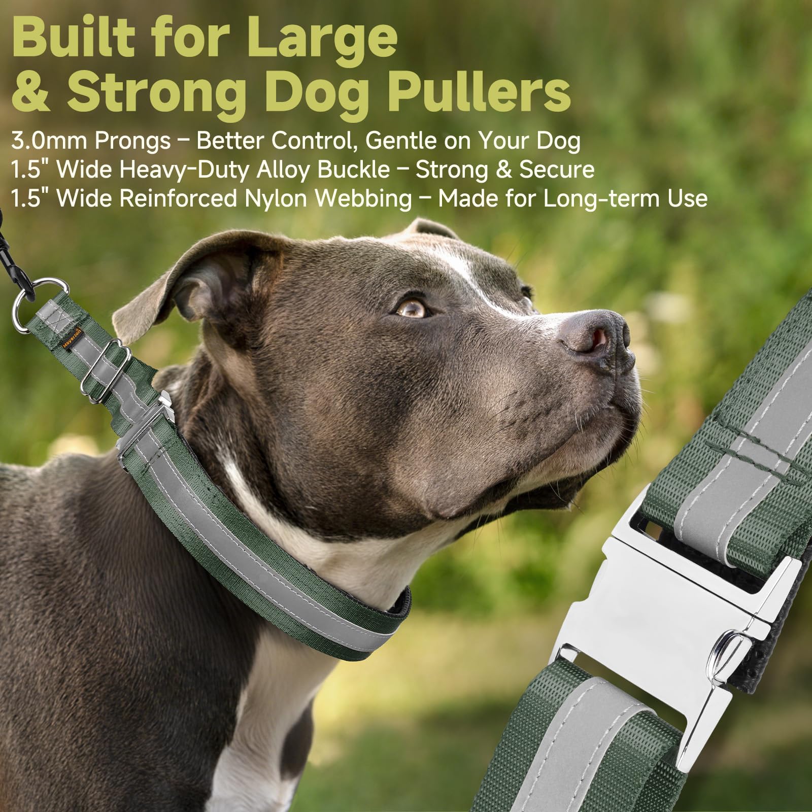 Mayerzon Martingale no pull collar D-ring attachment closeup illustrating secure leash connection.