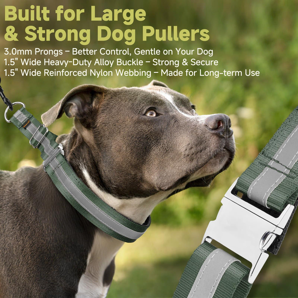 Mayerzon Martingale no pull collar D-ring attachment closeup illustrating secure leash connection.