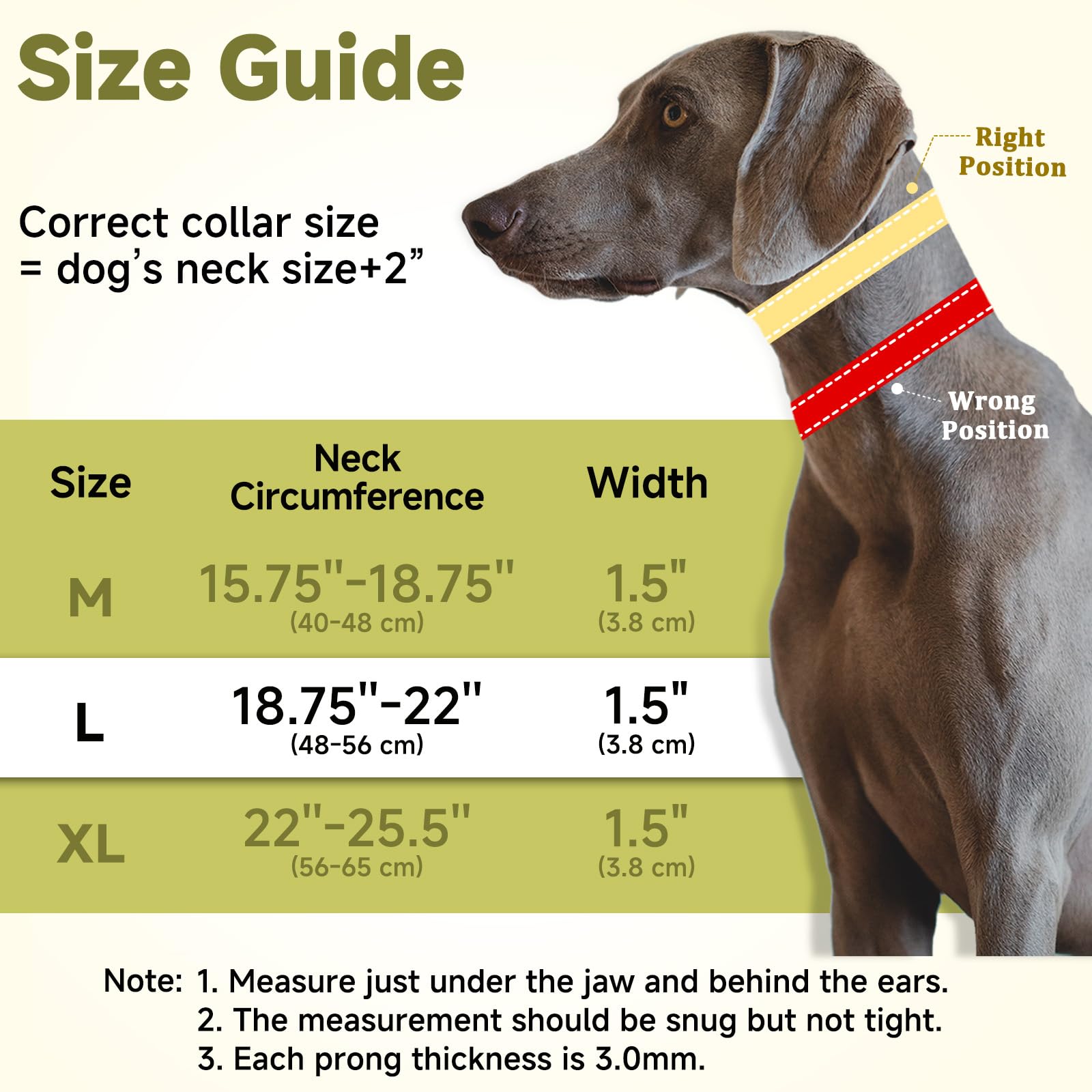Mayerzon Martingale no pull collar evenly spaced links closeup showing balanced training signals.