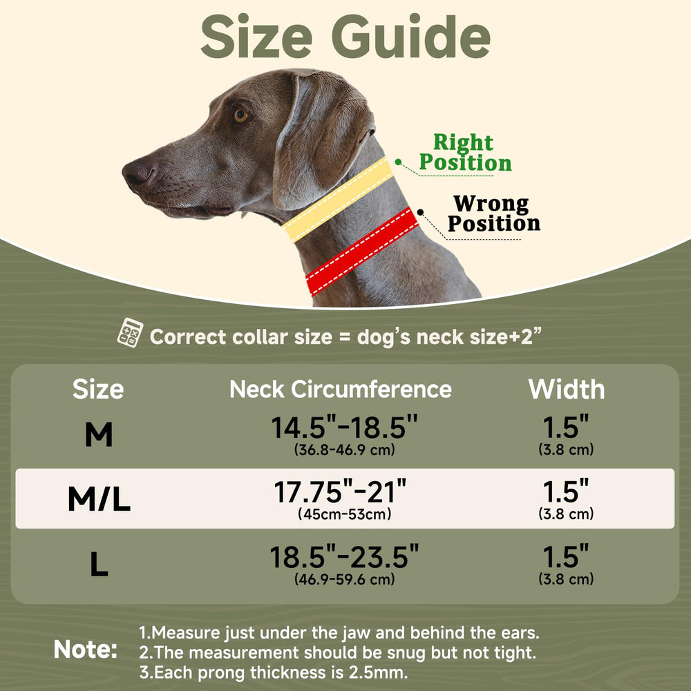 Mayerzon martingale no pull collar heavy-duty D-ring for secure leash