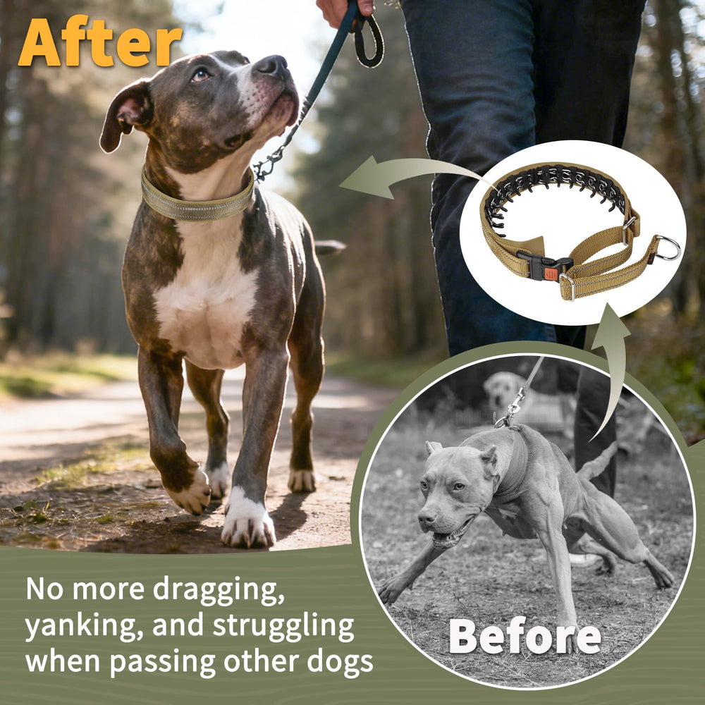 Mayerzon martingale no pull collar in use during a calm walking session