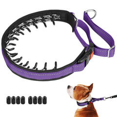 Mayerzon Martingale no pull collar neck-fit close-up shows discreet daily walk comfort