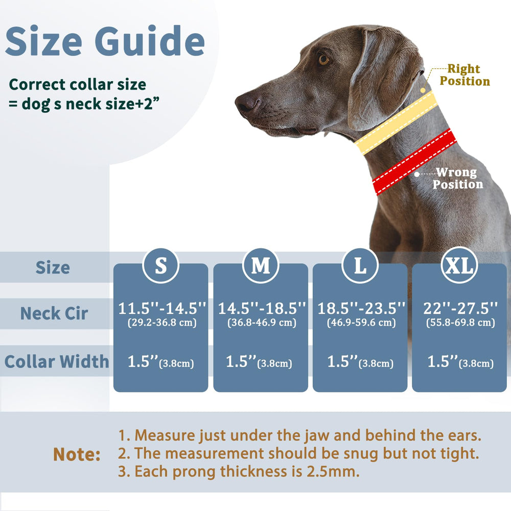 Mayerzon Martingale no pull collar neoprene padding delivers comfortable all-day wear